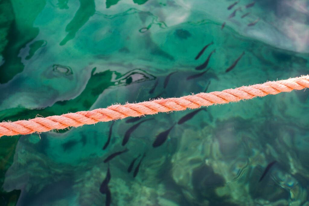 orange rope in water