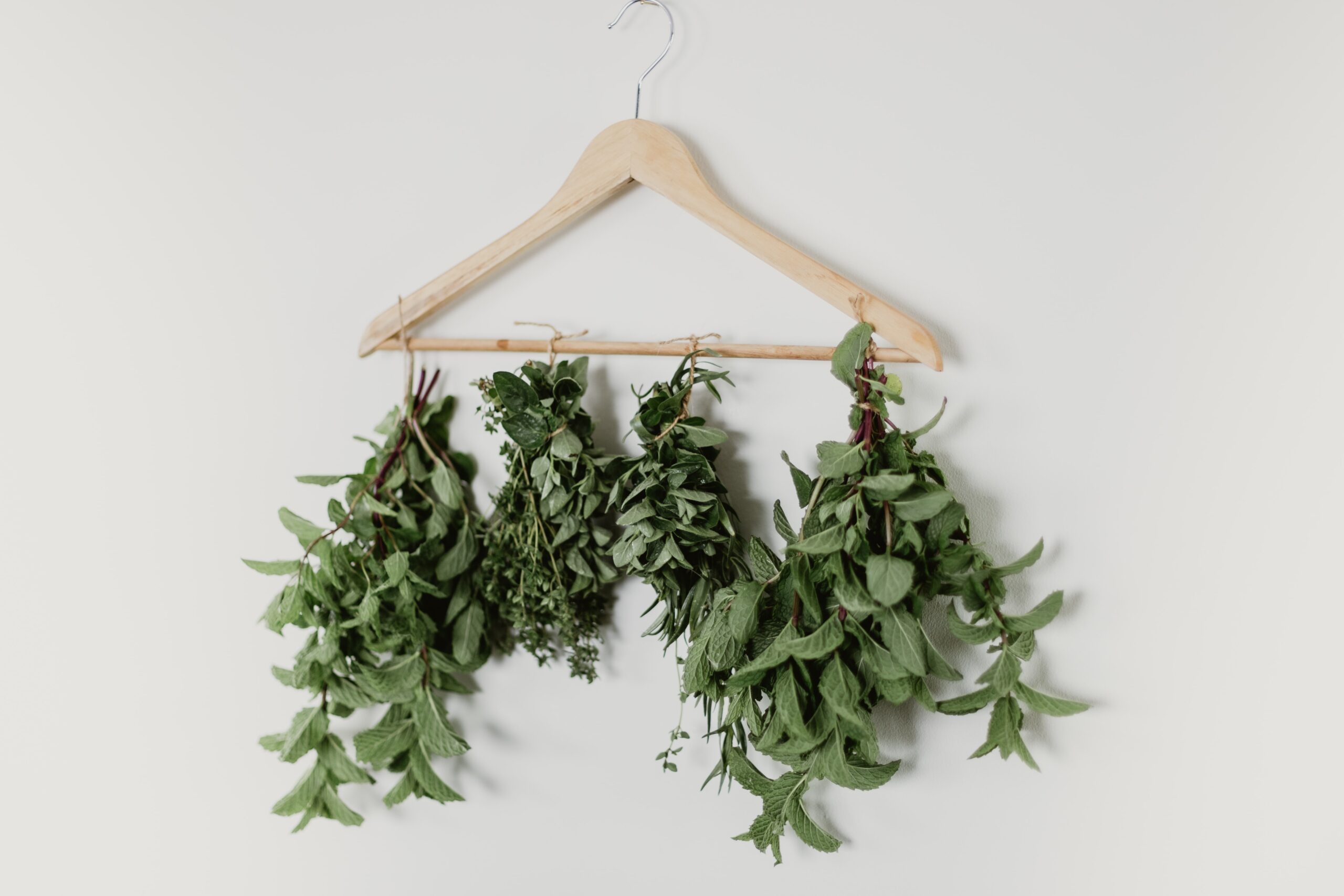 drying herbs from a clothes hanger