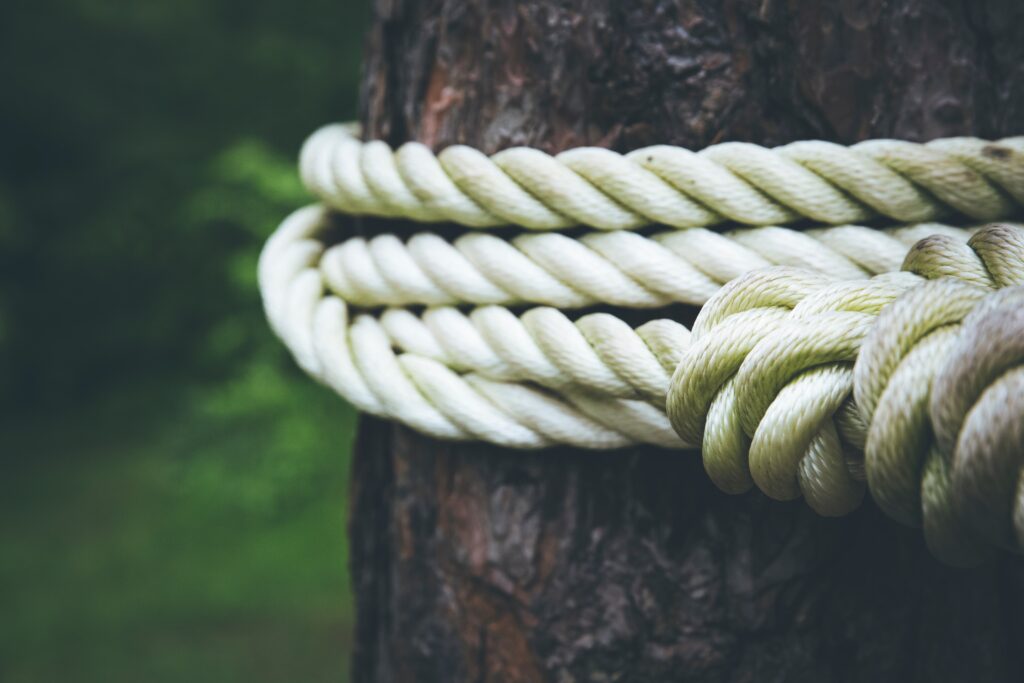 white rope wrapped around tree trunk